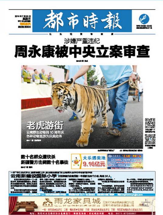 速豹新闻网：从地方门户到全国资讯平台的跃迁之路